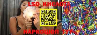 прущие грибы Камышлов