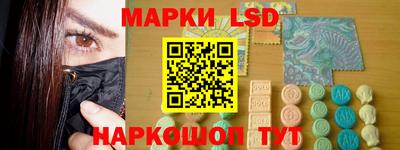 прущие грибы Камышлов