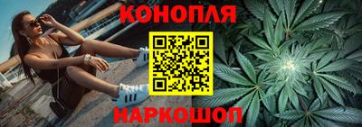 прущие грибы Камышлов