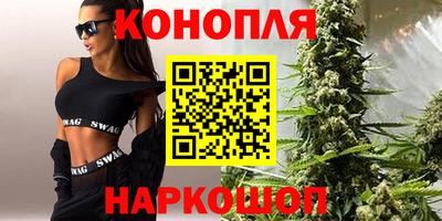 прущие грибы Камышлов