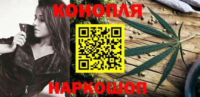 прущие грибы Камышлов